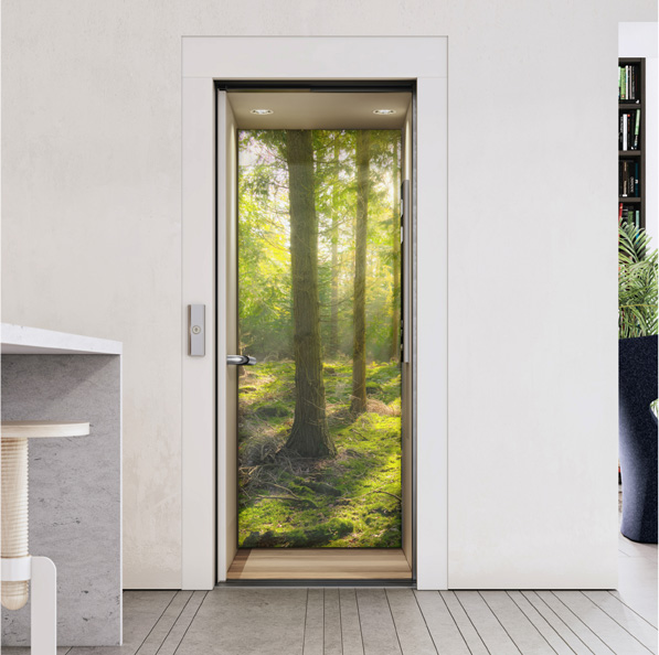 Ascensor Unifamiliar - 002 PUERTA